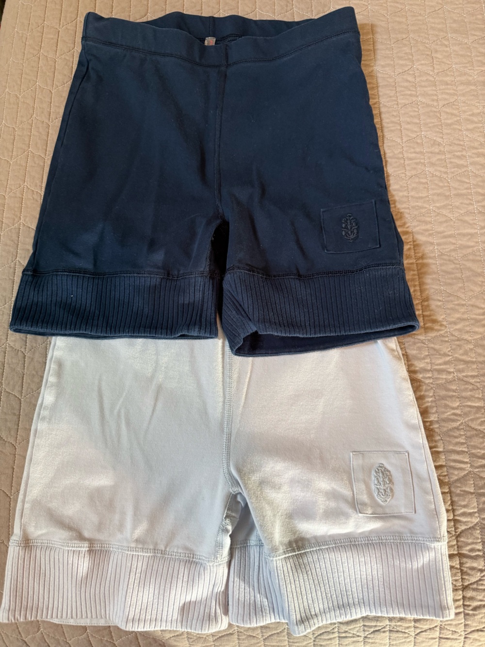 TWO pairs of FP Movement by Free People Navy and Light Grey Bike Shorts Duo!!